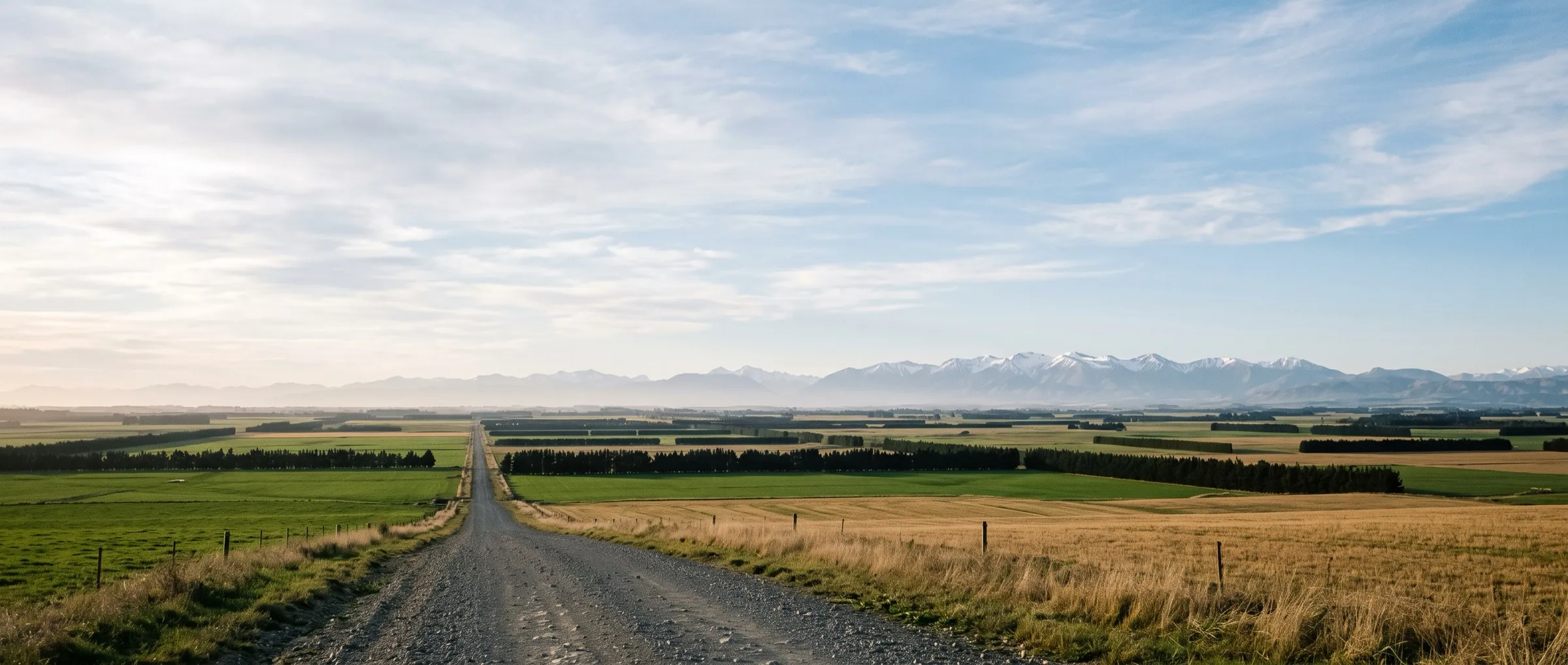 A gravel road running straight across the flat Canterbury farmland towards the Southern Alps on the horizon.